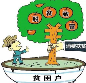 申論熱點(diǎn)：消費(fèi)扶貧